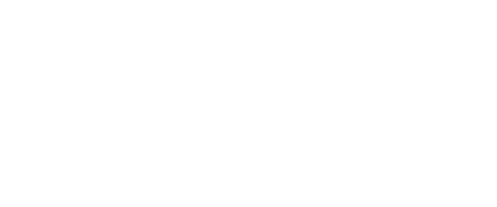 Logo Stonevietnam.net